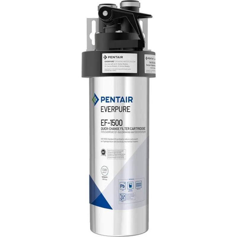 Système de filtration d'eau potable en acier inoxydable EF-1500 de PENTAIR
